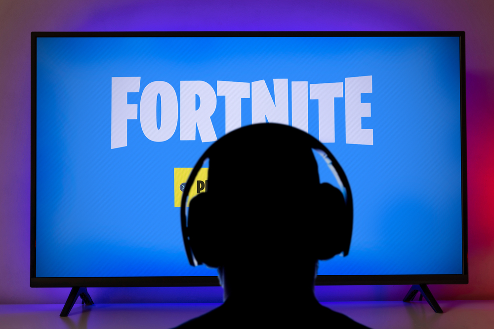 FORTNITE pic1