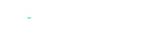 MetroVPN